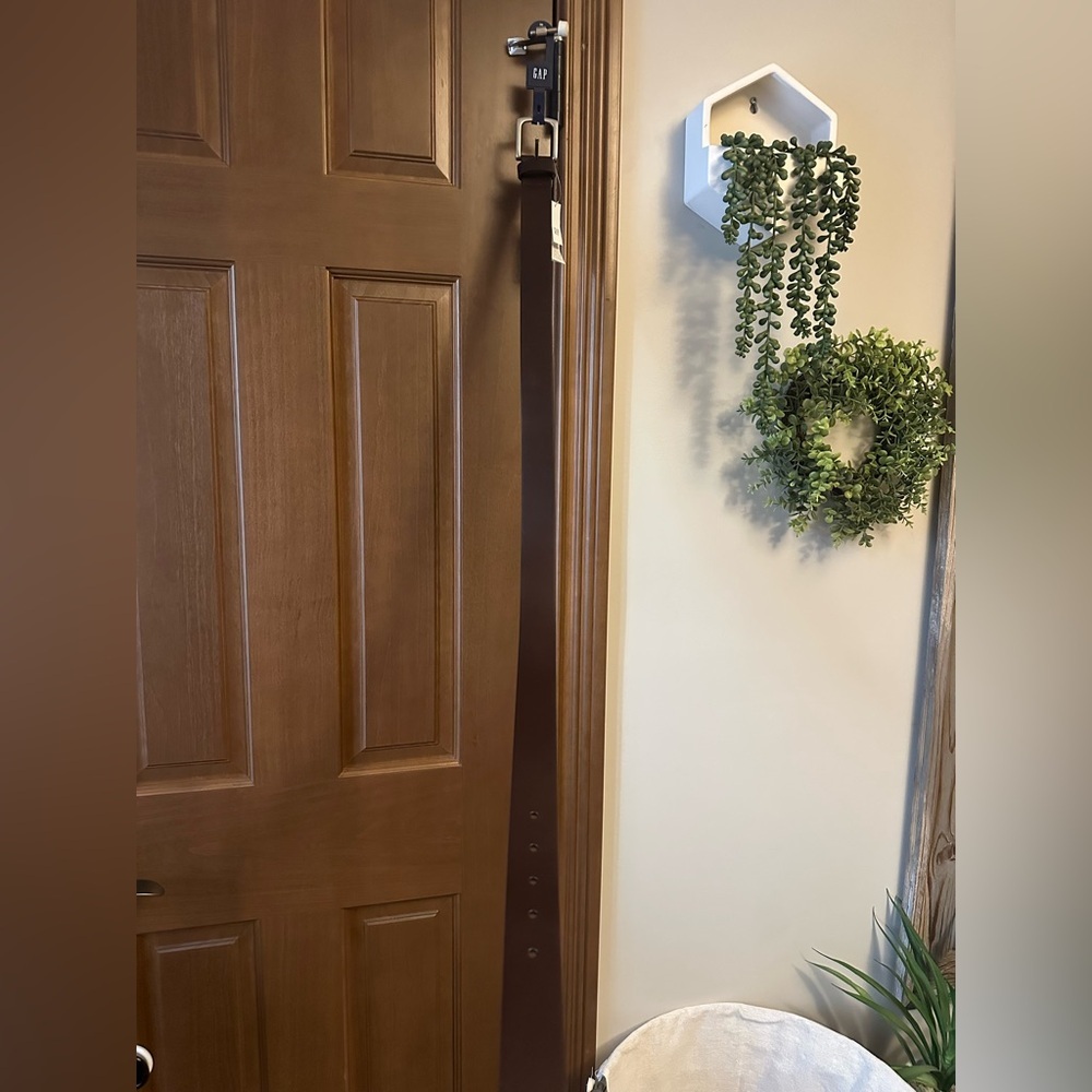 GAP Brown Leather Belt with Silver Buckle